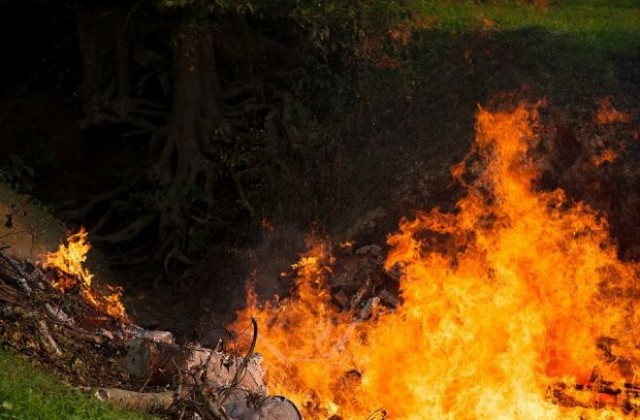 Пожар в района на полигон „Елена“, Хасковско