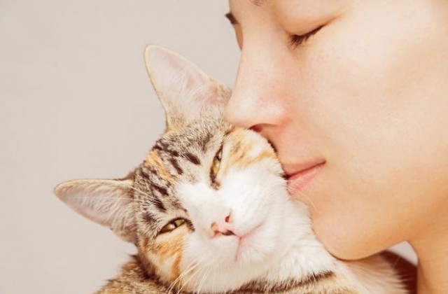 Кога гушкането на котки е опасно за здравето?