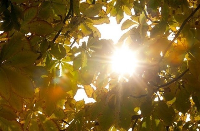Времето на 29 септември: Слънчево, температурите през деня ще се повишат