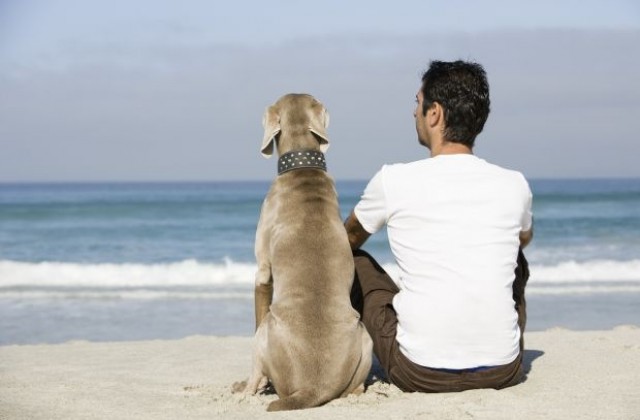 Учени откриха гените, които сприятеляват кучето с човека