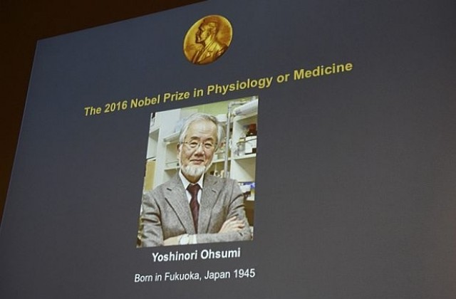 Как Йошинори Осуми спечели Нобелова награда за медицина