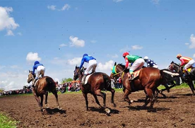 Гецово посреща голямо конно състезание в събота