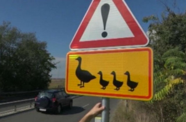 Нов уникален пътен знак се появи край пътя по Черноморието