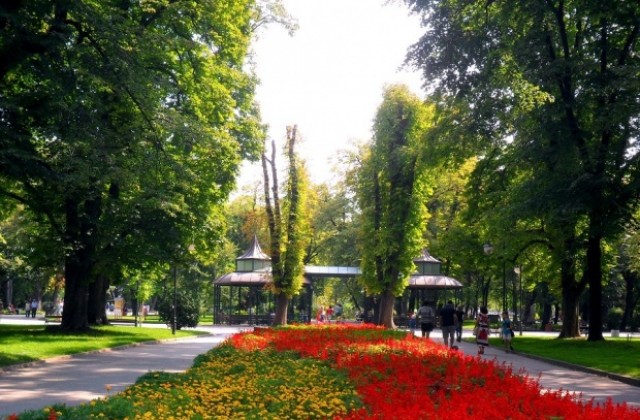 Един милион цветя засаждат тази есен в Пловдив