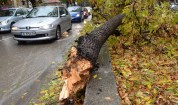 Варна - код оранжево