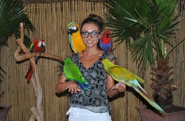 Изложба от екзотични папагали в читалище „Заря”