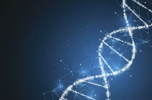 Откриха нова технология за корекция на ДНК-то в увредени части на тялото