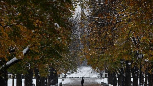 Зимата идва следващата седмица с повече студ отколкото сняг