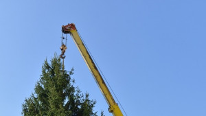 Монтираха коледната елха в Сливен