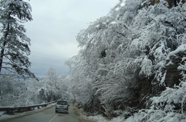 Пътищата в Смолянско обработени, снежната покривка варира от 2 до 15 см.