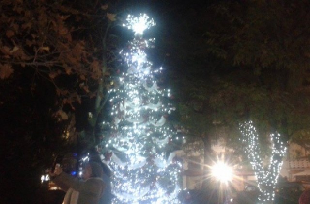 Живата елха на Пловдив светна!