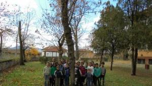 Ученици облагородиха двора на училището си