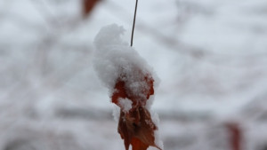 Времето на 3 декември Слънцето се връща