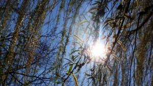 Времето на 4 декември Вятърът стихва ще бъде слънчево