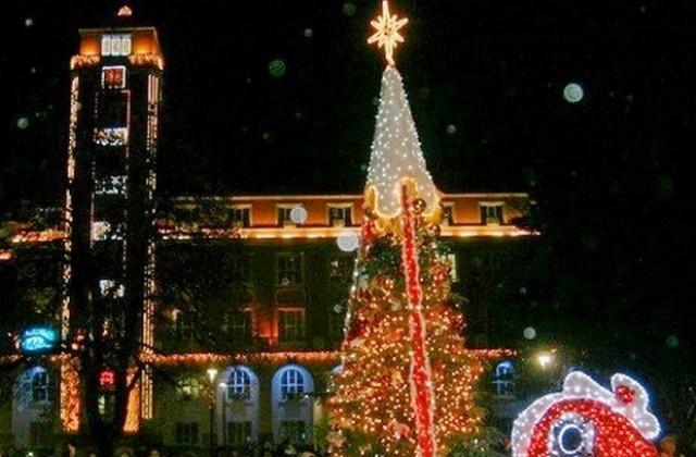 Днес ще грейне Коледната елха в центъра на Плевен