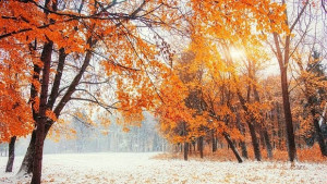 Тази седмица ни очаква слънце а следващата сняг