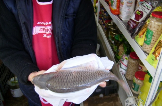 Контрол на храните: Рибата за Никулден бе качествена