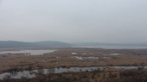 Сребърна очаква зимуващите водолюбиви птици