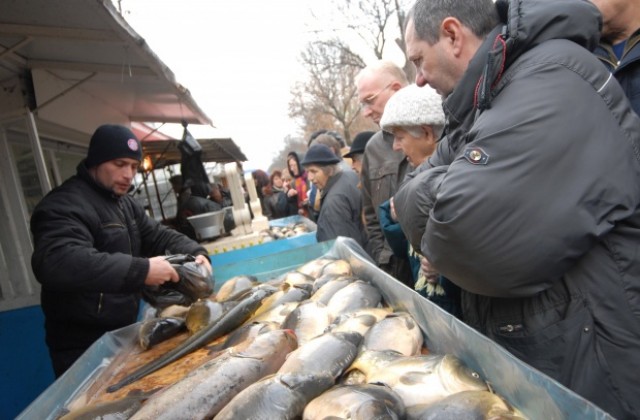330 кг риба с неясен произход иззети покрай Никулден