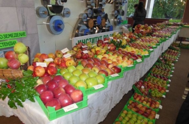 Ябълката свързва отново с проект Института по земеделие в Кюстендил и Китай