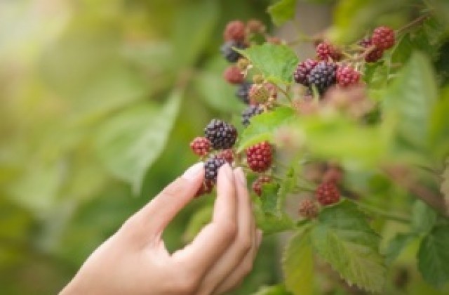 Търсят кандидати за работа в Португалия