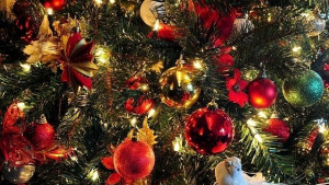 Празничната програма на община Тунджа до Коледа