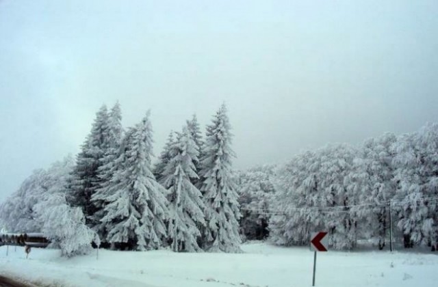 Времето на 15 декември: В планините ще превалява сняг
