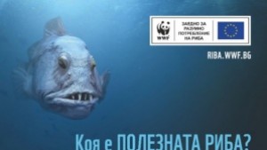 Интерактивна инсталация в Екомузея