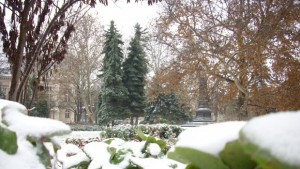 Сол и айсбигон са на разположение на русенци