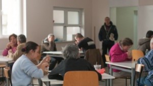 Приютът за бездомни е препълнен всеки може да дари