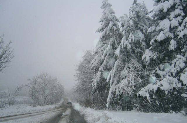 10 см нова снежна покривка в планинската част в община Сливен