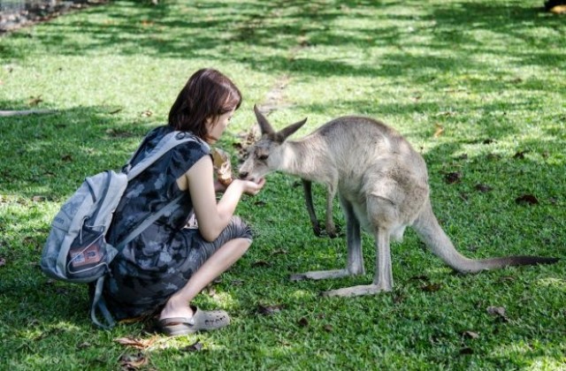 Как жена оцеля след нападение на кенгуру?