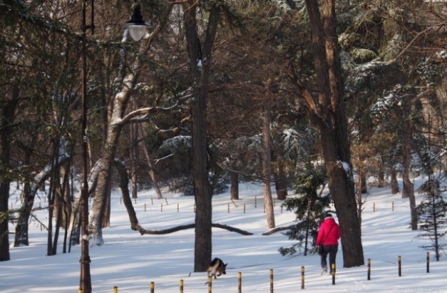 Жълт код за ниски температури за Пловдив и още 6 области