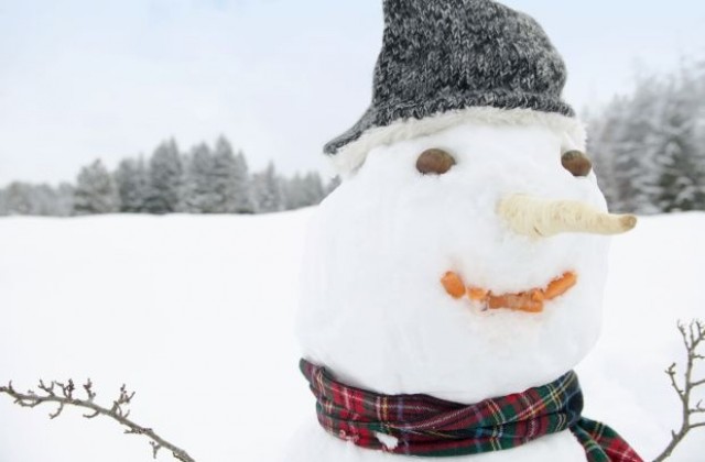 Зимно вдъхновение обзе столичани, причудливи фигури от сняг надничат от всеки ъгъл (СНИМКИ)