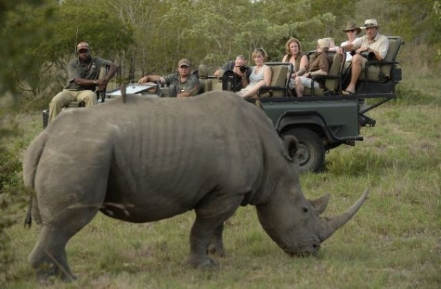 Селфи помогна на полицията да намери бракониери, убили носорог