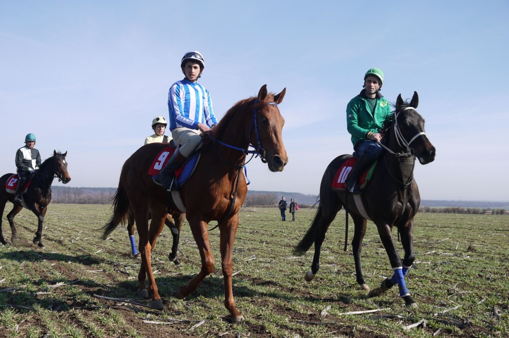 Състезания с коне на Тодоровден в Шумен