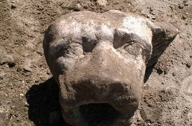 Лъвска глава откриха в Хераклея Синтика