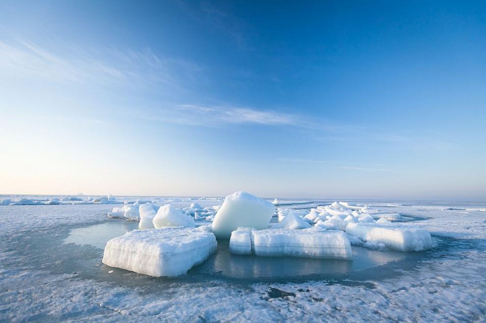 Антарктическият лед крие останките на древен суперконтинент