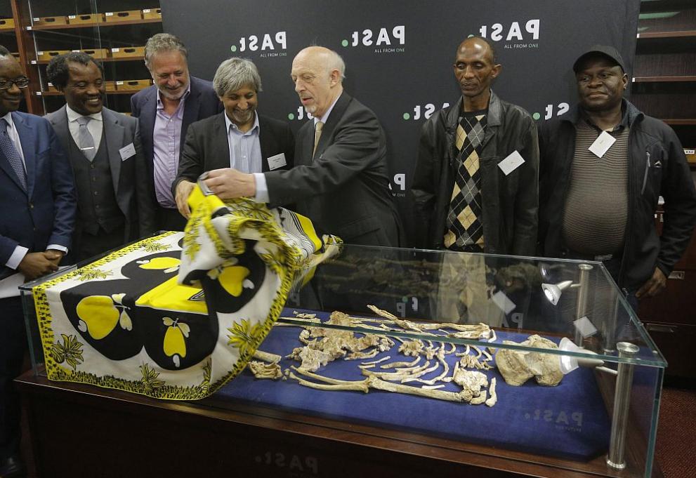Учени представиха в Йоханесбург най-стария в света, а и най-пълния скелет на хоминид, наречен Малката стъпка