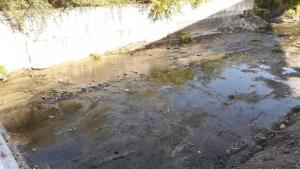 речно корито