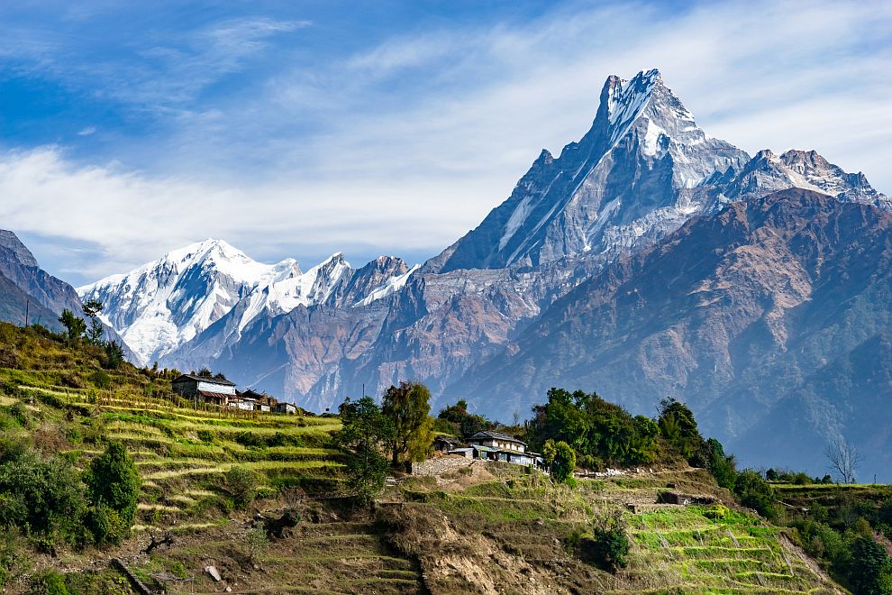  Всяка пролет в Хималаите хиляди селяни от Непал, Тибет и Бутан се втурват да събират гъбата ярсагумба 