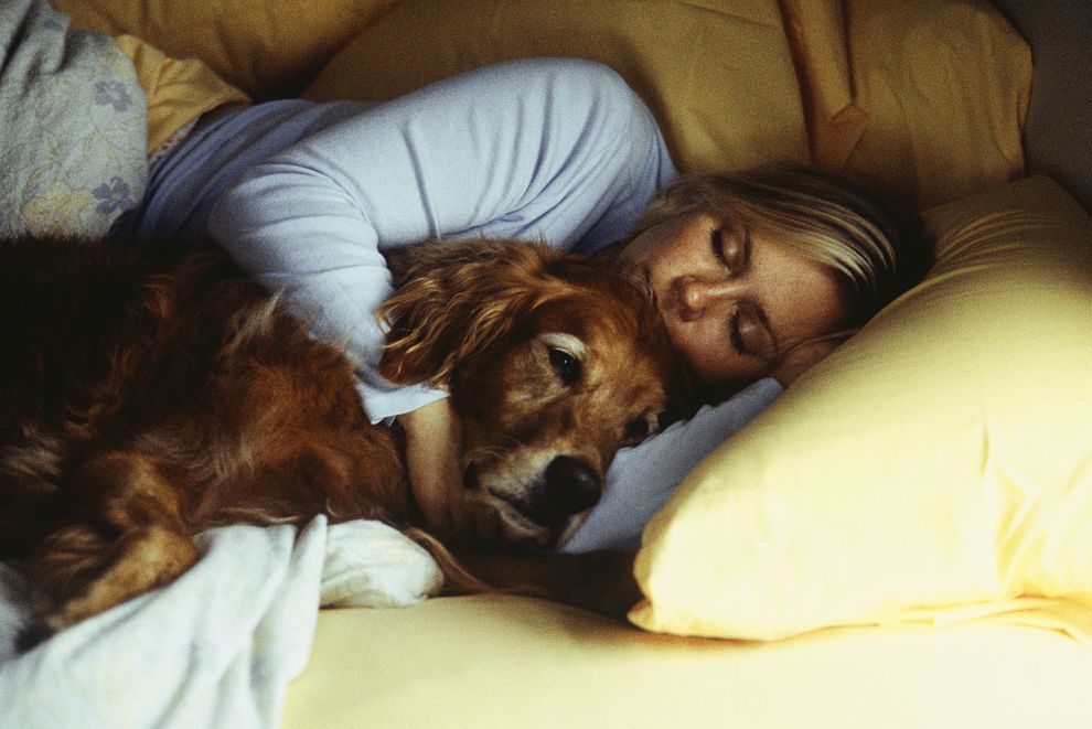  Стопанките на кучета имат по-здрав сън, когато ги позволяват да спят в леглото им 