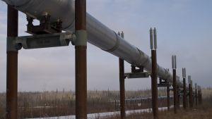 BP планира да изгради газопровод през България