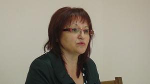 Полската Силезия не е инвеститорът с който се водят преговори