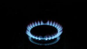 Газопровод свързва Сърбия с България