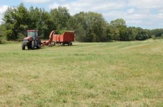 Най-висока в цялата страна е цената на земеделската земя в Добричко, отчитат експертите от териториалното статистическо
