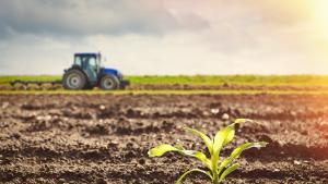 Областните дирекции по земеделие ОДЗ припомнят важните срокове относно споразуменията