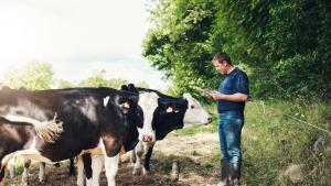 Кредитите които фермерите са взели за изхранване на животните си