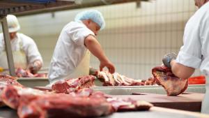 България е най големият вносител на дълбоко замразено месо и се