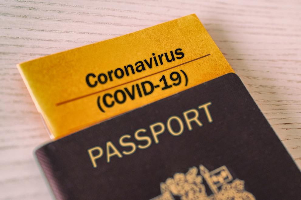 коронавирус паспорт